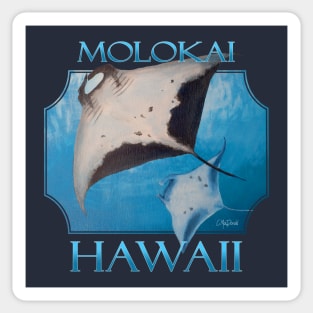 Molokai Hawaii Manta Rays Sea Rays Ocean Sticker